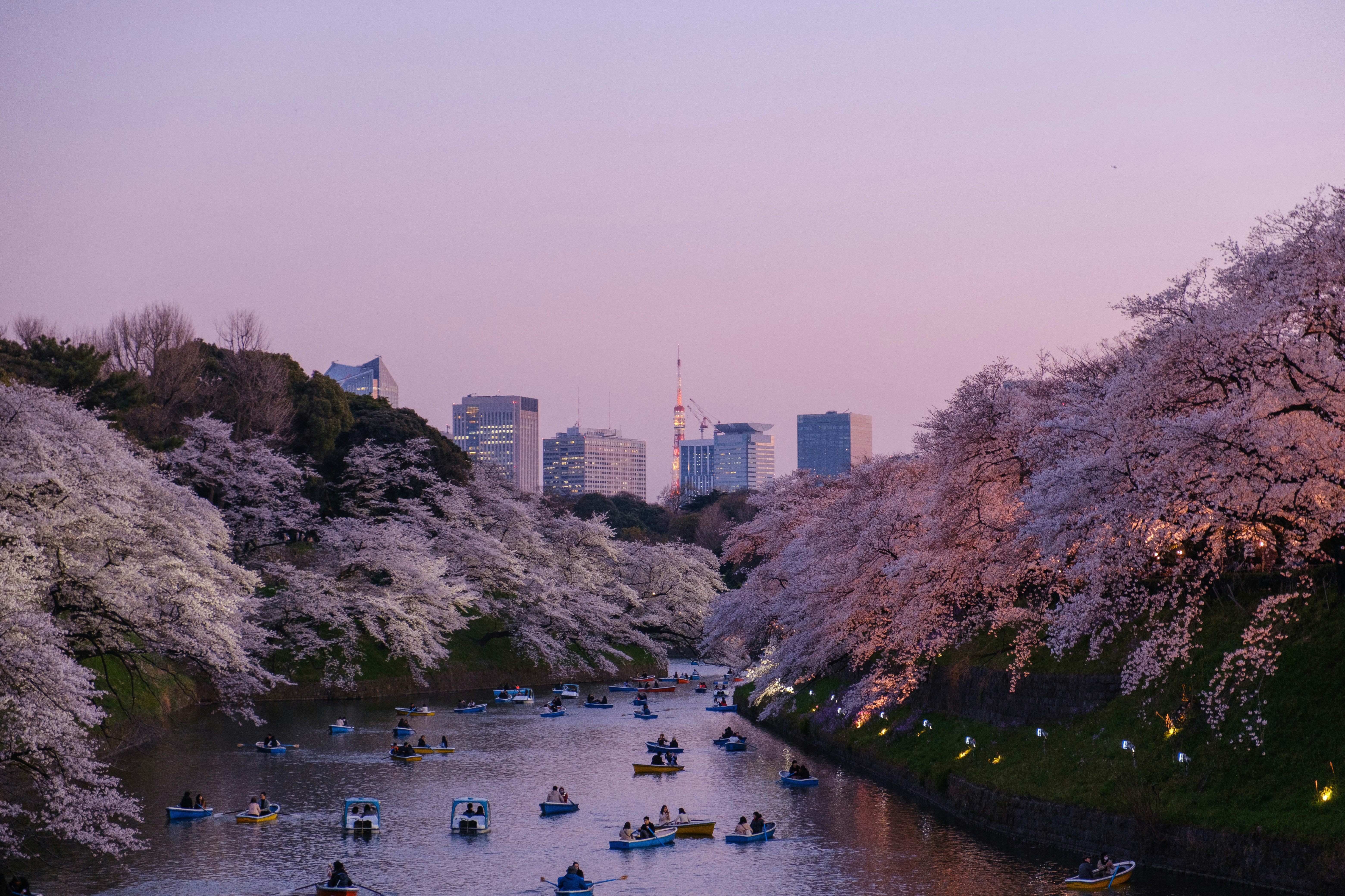 Tokyo Park